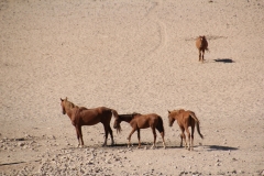 NAM_D_Luederitz_6