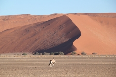 NAM_G_Sossusvlei_3