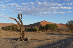 NAM_G_Sossusvlei_4