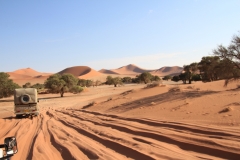 NAM_G_Sossusvlei_5