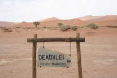 NAM_G_Sossusvlei_9