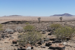 NAM_H_Namib_2