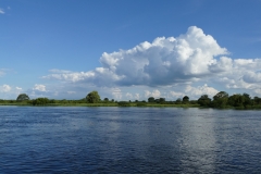 NAM_R_Bagani_2