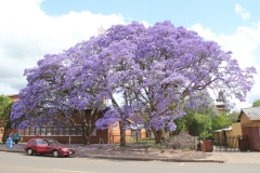 SA_A_Soweto_4
