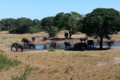 SA_E_Tembe_1
