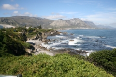 SA_Hermanus_1