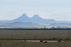 SA_I_Karoo