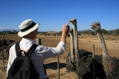 SA_I_Karoo_4