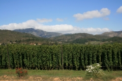 SA_I_Karoo_6