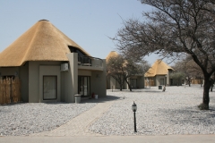 U_Etosha_zz